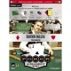 Poker Academy Standard - Edition Deluxe 2008 pour Windows