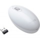 Sony VAIO Wireless Laser Mouse VGP-WMS30/W - souris (VGP-WMS30/W)